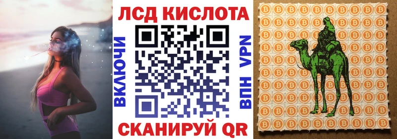 darknet наркотические препараты  Минусинск  Наркотические марки 1,5мг 