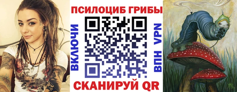 хочу наркоту  Минусинск  Псилоцибиновые грибы Cubensis 