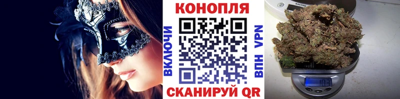 Конопля индика  Минусинск 